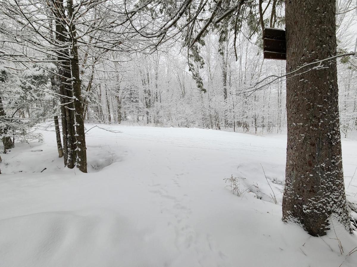 Ski In/Out Spruce Glen Townhomes On Great Eastern Trail Killington Eksteriør billede